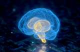 Unveiling the Truth: Which Part of the Brain Really Controls Sleep? Insights and Misconceptions Explained - OtterSpace