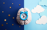 The Neuroscience of Sleep: Enhancing Your Restful Hours for Better Health - OtterSpace